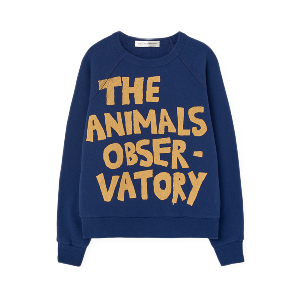 키즈 샤크 레터링 맨투맨 딥블루 S26197 234BL