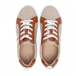 ◆키즈◆22FW 키즈 로고 레이스업 스니커즈 브라운 C19163 370