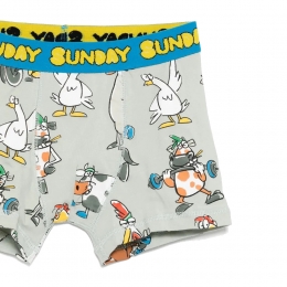 ◆키즈◆25SS 키즈 위클리 프린팅 언더웨어 7종 팩 멀티 TV0P19 Z2317 999MC