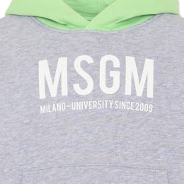 여성 로고 프린팅 투톤 후드티 그레이/파라다이스 그린 S6MSJBHS050 27101